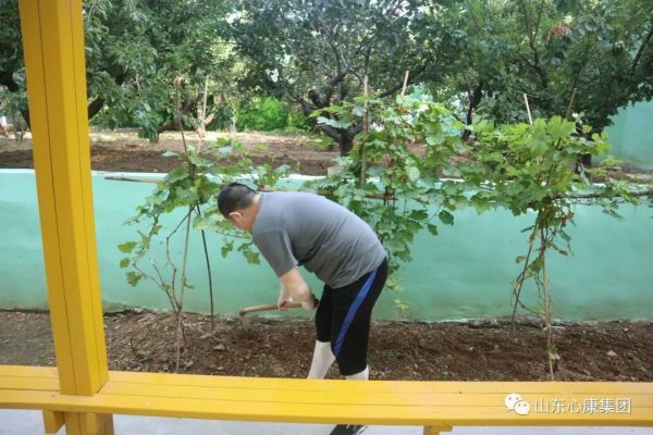 干细胞干预神经系统治疗儿童自闭症生物技术专家——闫小君院士莅临心康集团考察合作
